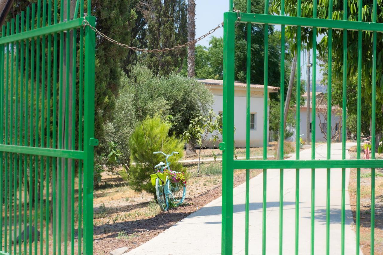 Aliyah Return Center Degania Bet Exterior photo